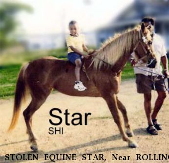 STOLEN EQUINE STAR, Near ROLLING FORK, MS, 39159